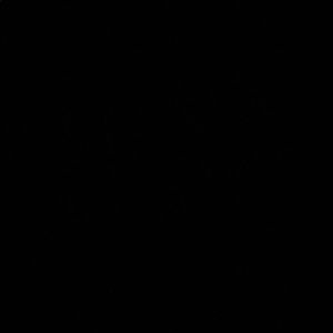 Meet your Posher, Lucie